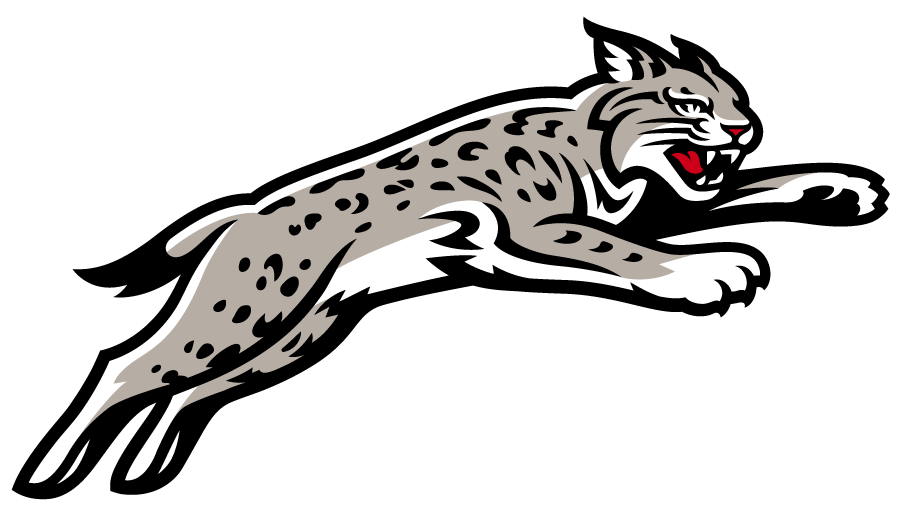 Davidson Wildcats 2023-Pres Secondary Logo diy iron on heat transfer